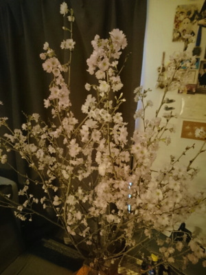 f:id:yako:20180411233510j:image:w225,h300,right