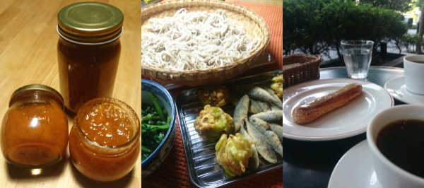 f:id:yako:20180617234005j:image:w600,h266,right