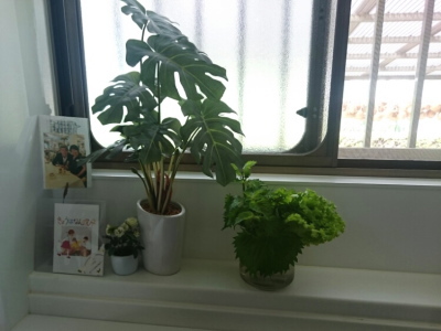 f:id:yako:20180728215008j:image:w266,h200,right