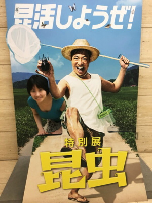 f:id:yako:20180806000505j:image:w225,h300,right
