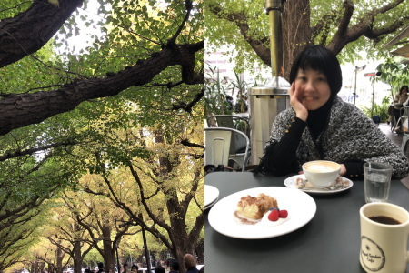 f:id:yako:20181119011143j:image:w450,h300,right