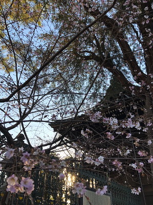 f:id:yako:20190101195955j:image:w200,h266,left