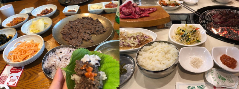 f:id:yako:20190101201730j:image:w600,h225,right