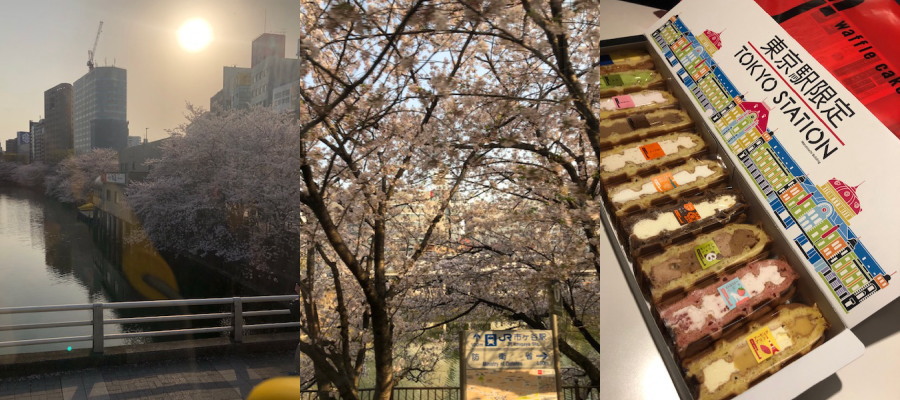 f:id:yako:20190407225445j:image:w675,h300