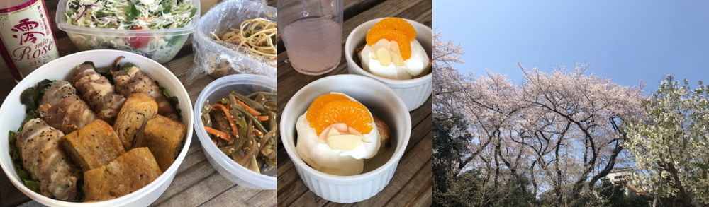 f:id:yako:20190407225915j:image:w900,h263