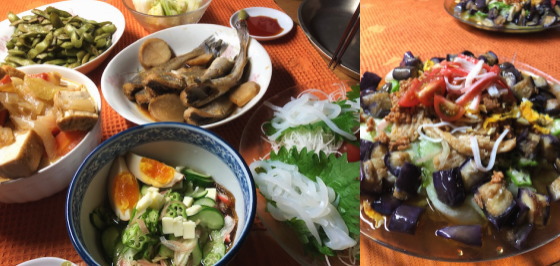 f:id:yako:20190624231952j:image:w560,h266,left