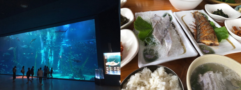 f:id:yako:20190815220400j:image:w700,h262,right