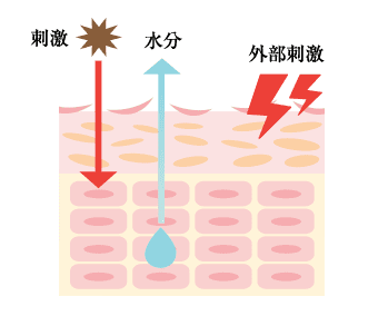 肌バリア