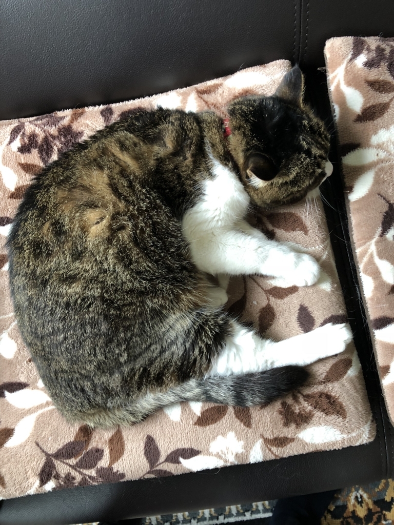 f:id:yakudoshi:20180801204804j:plain f:id:yakudoshi:20180801204804j:plain