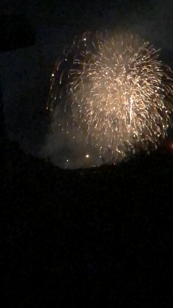 f:id:yakudoshi:20180818225011j:plain f:id:yakudoshi:20180818225011j:plain