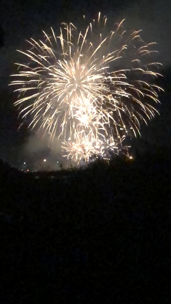 f:id:yakudoshi:20180818225035j:plain f:id:yakudoshi:20180818225035j:plain