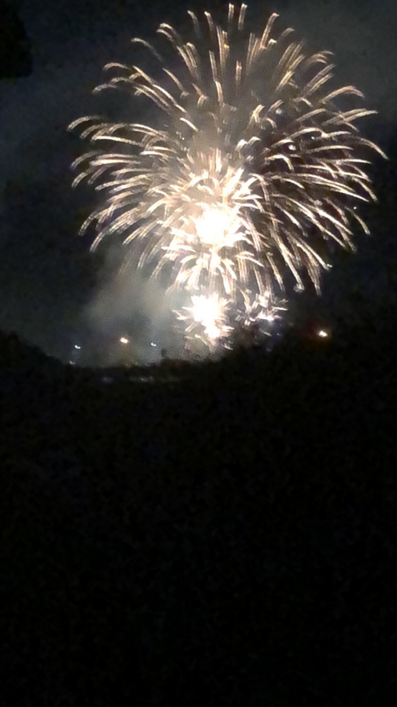 f:id:yakudoshi:20180818225113j:plain f:id:yakudoshi:20180818225113j:plain