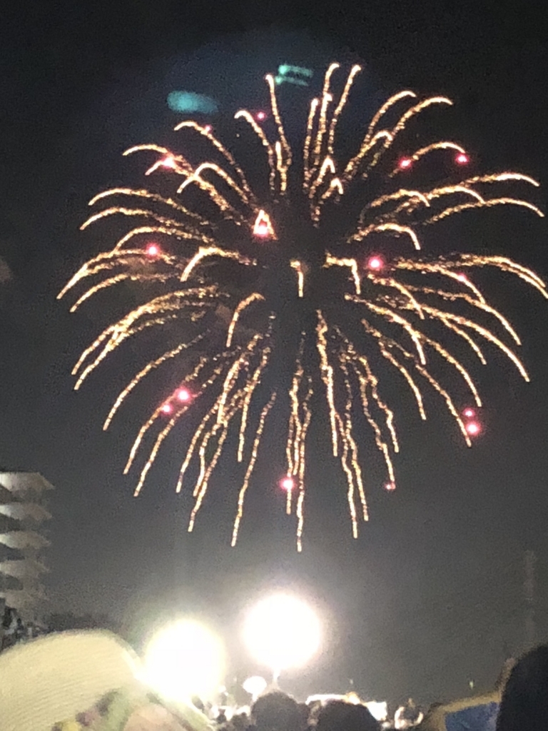 f:id:yakudoshi:20180826170901j:plain f:id:yakudoshi:20180826170901j:plain