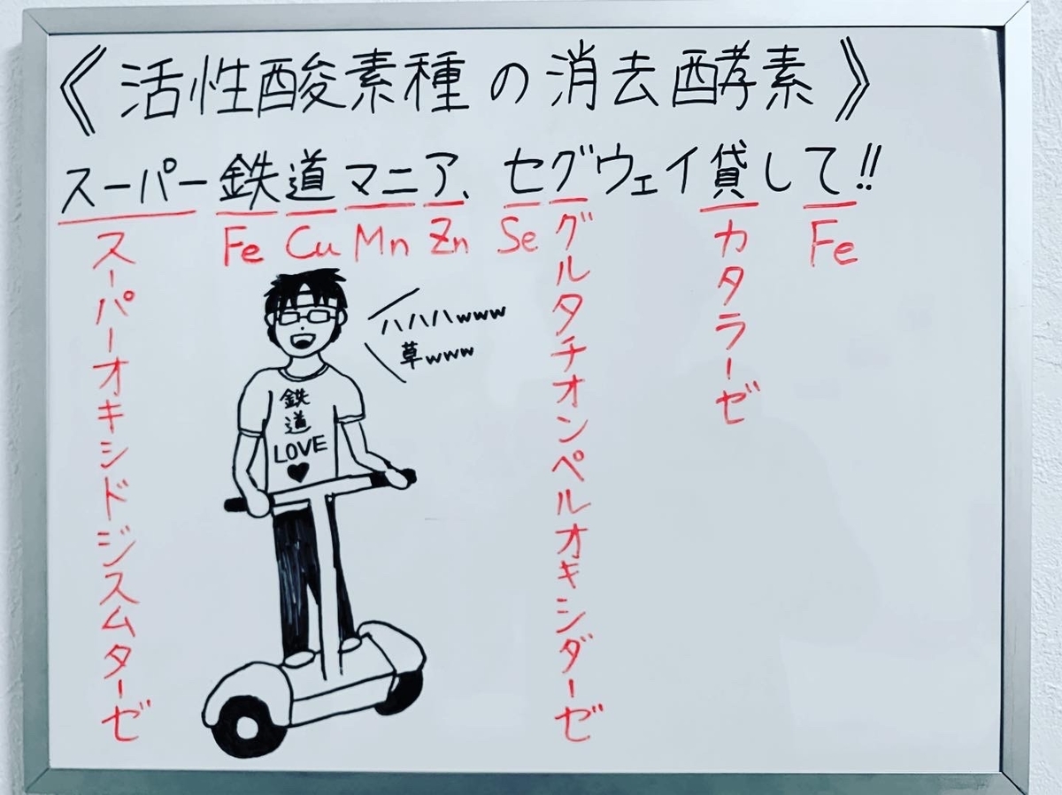 f:id:yakugakun:20191203210228j:plain f:id:yakugakun:20191203210228j:plain