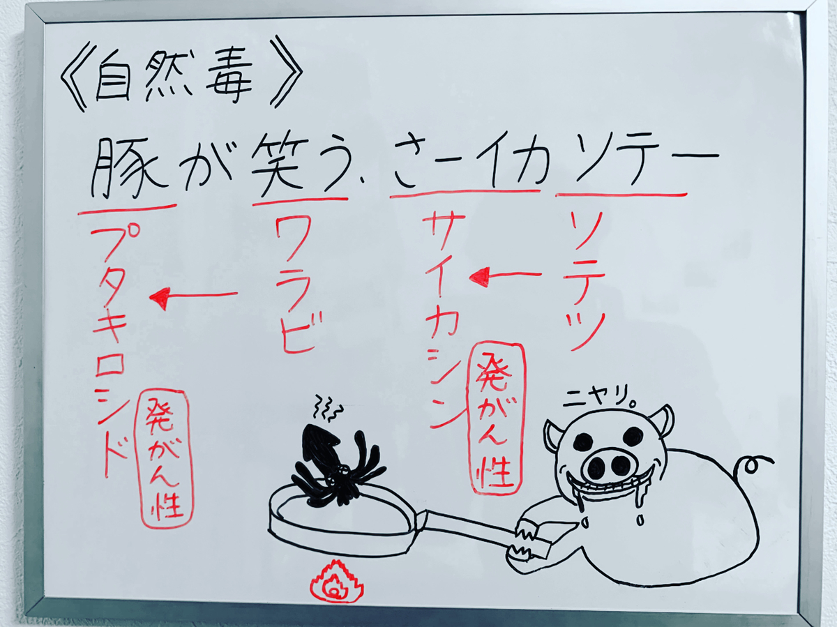 f:id:yakugakun:20191205114131j:plain f:id:yakugakun:20191205114131j:plain