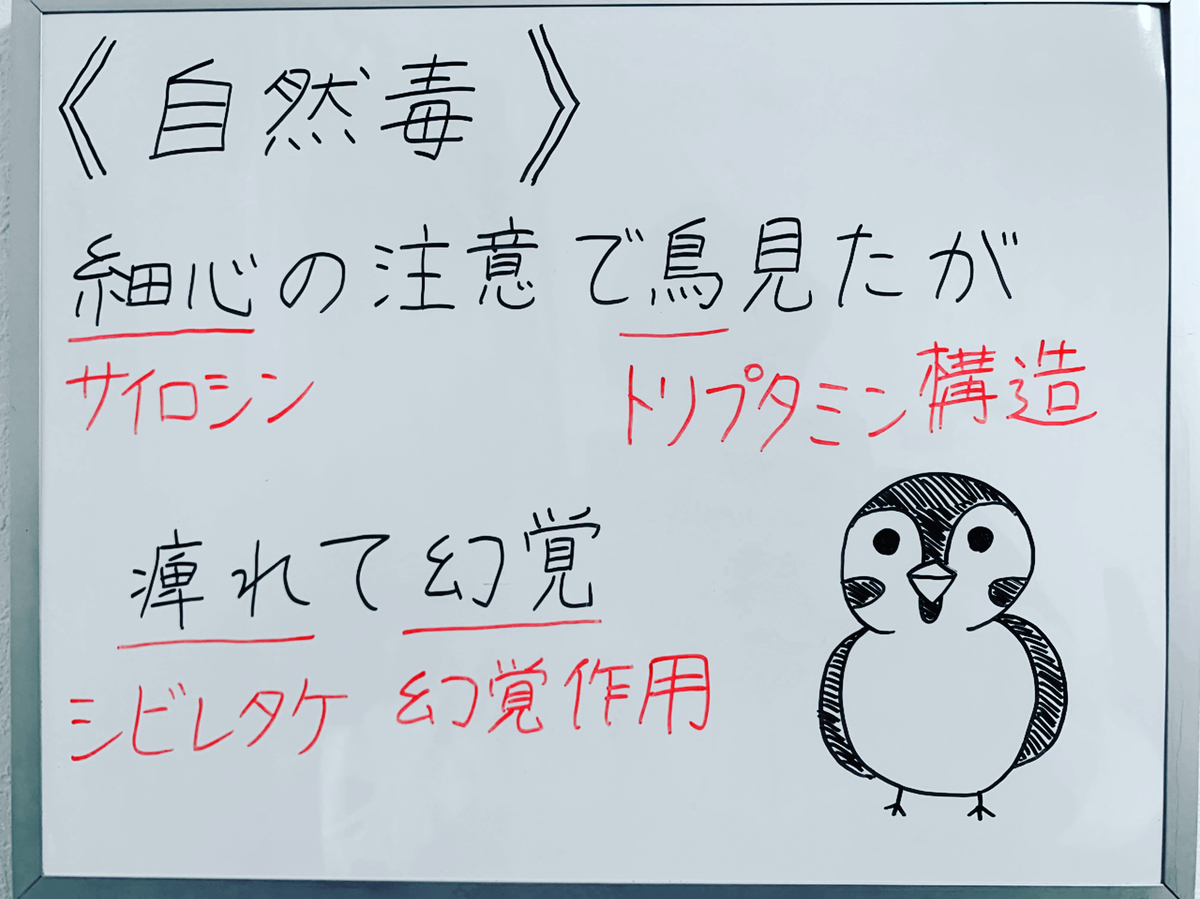 f:id:yakugakun:20191206113243j:plain f:id:yakugakun:20191206113243j:plain