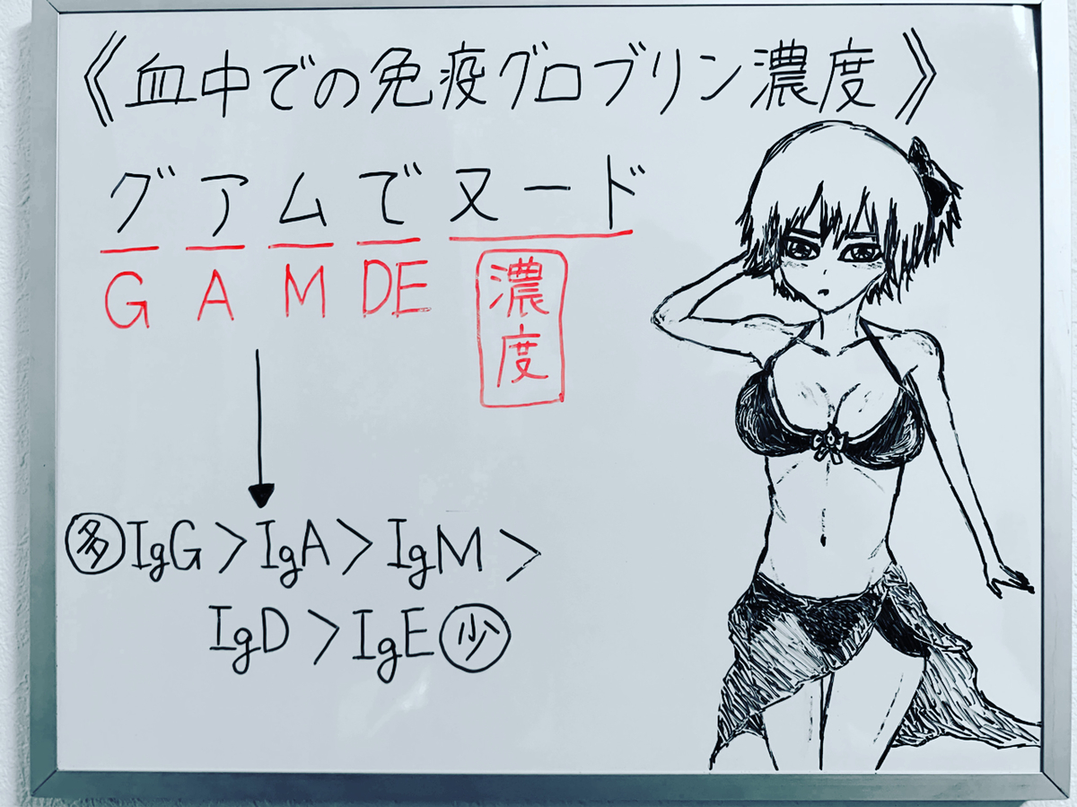 f:id:yakugakun:20191209024102j:plain f:id:yakugakun:20191209024102j:plain
