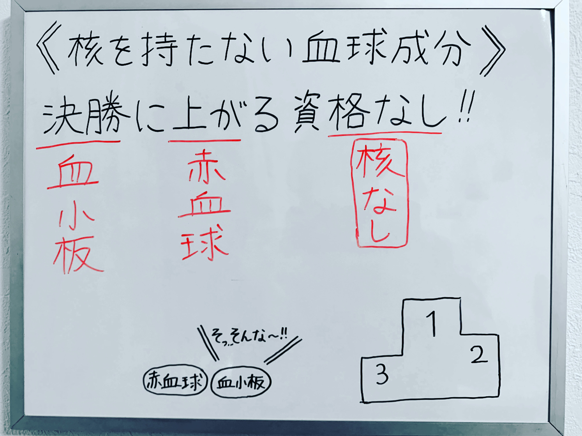 f:id:yakugakun:20191211004030j:plain f:id:yakugakun:20191211004030j:plain