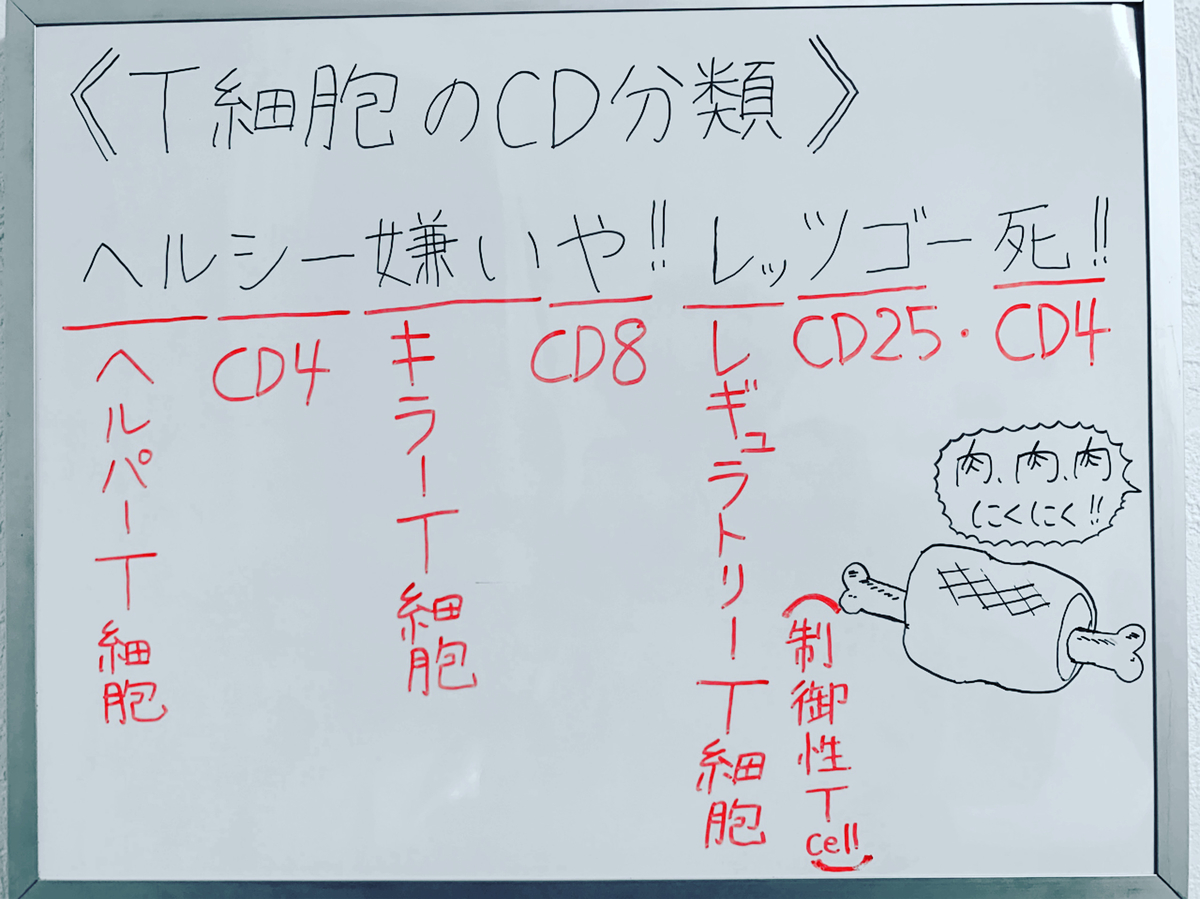 f:id:yakugakun:20191215010949j:plain f:id:yakugakun:20191215010949j:plain