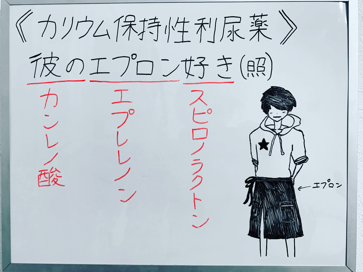 f:id:yakugakun:20200413104728j:plain f:id:yakugakun:20200413104728j:plain