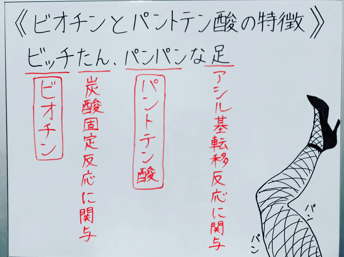 f:id:yakugakun:20200503165353j:plain f:id:yakugakun:20200503165353j:plain