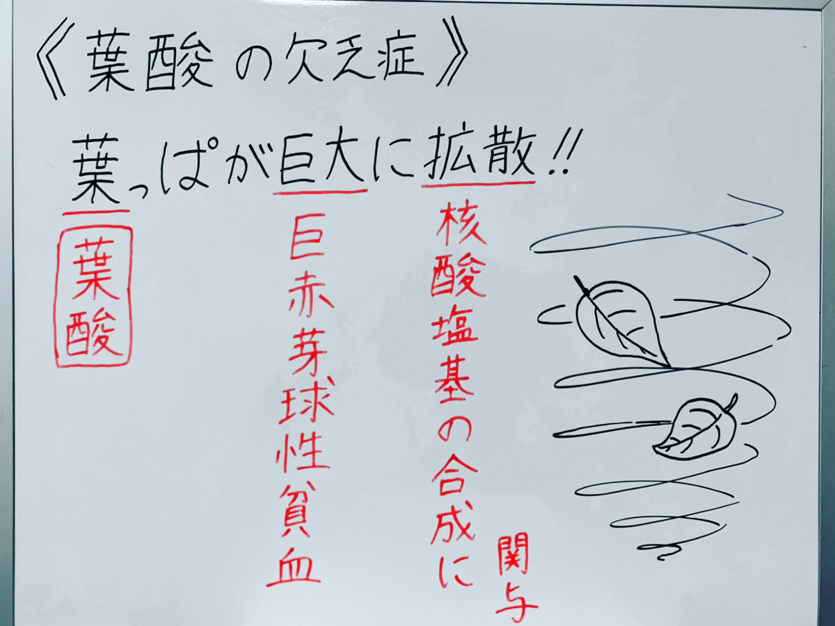 f:id:yakugakun:20200503165944j:plain f:id:yakugakun:20200503165944j:plain