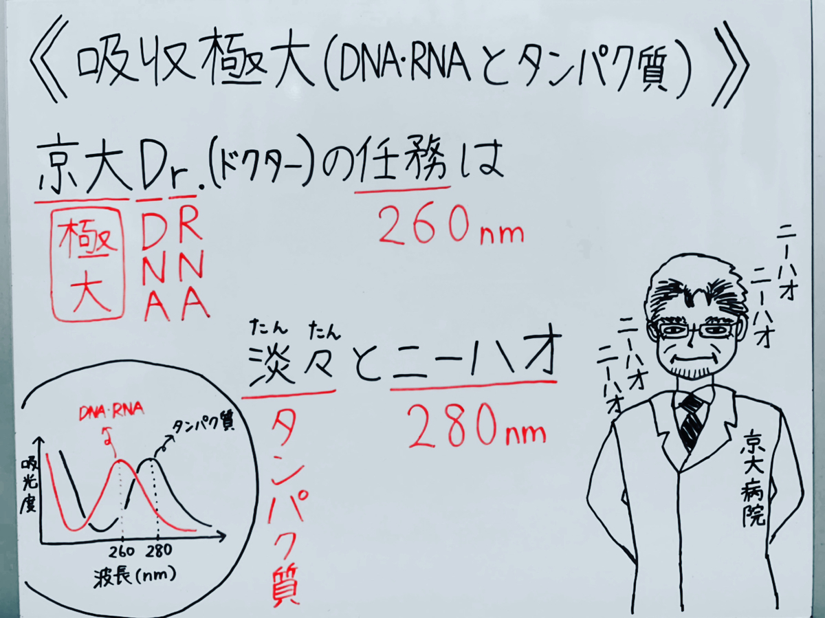 f:id:yakugakun:20200503181610j:plain f:id:yakugakun:20200503181610j:plain