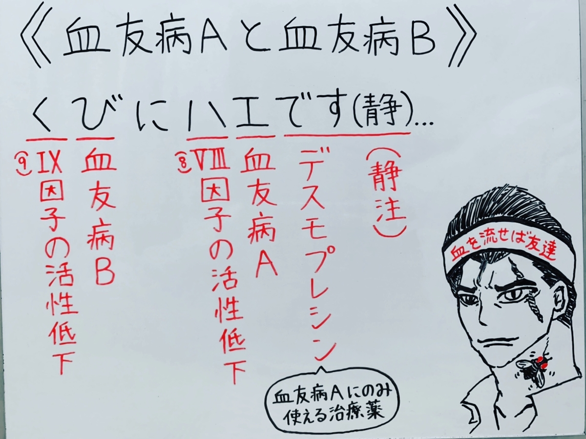 f:id:yakugakun:20200503202046j:plain f:id:yakugakun:20200503202046j:plain
