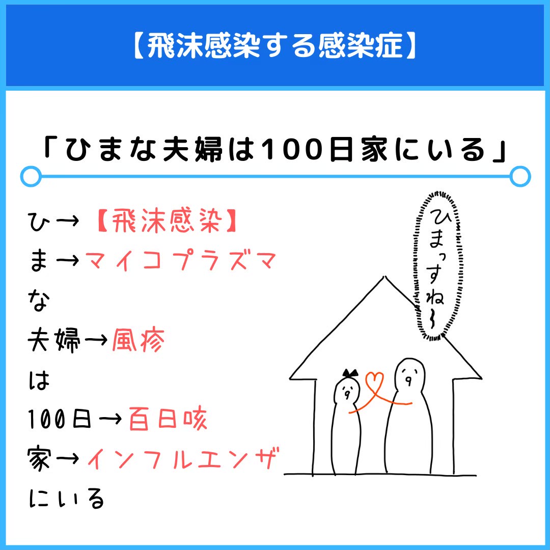 f:id:yakugakun:20201114235402j:plain f:id:yakugakun:20201114235402j:plain