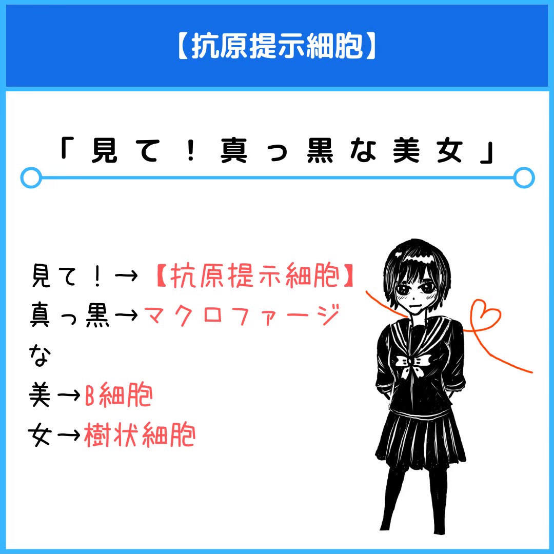 f:id:yakugakun:20201129211857j:plain