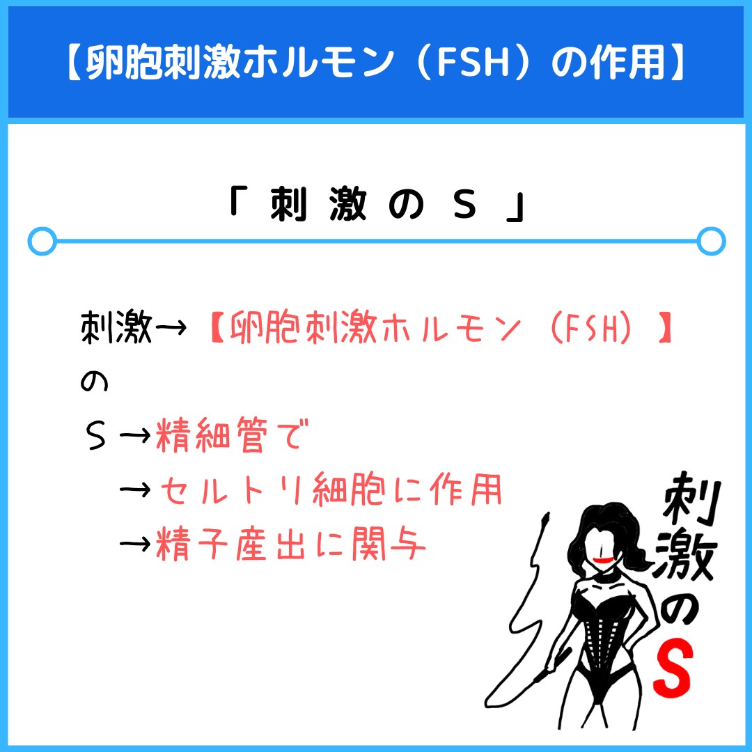 f:id:yakugakun:20210805113424j:plain