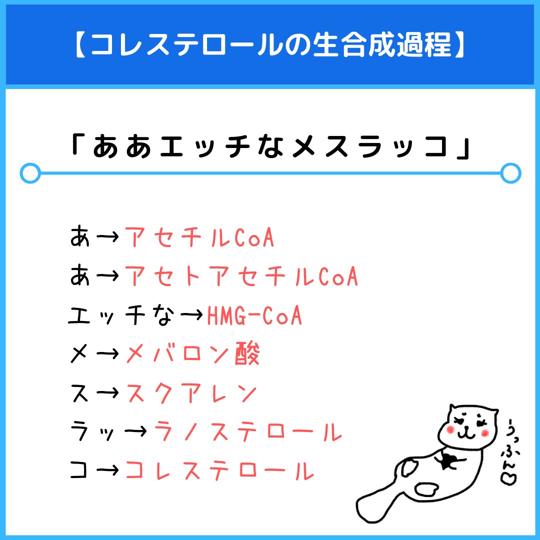 f:id:yakugakun:20210806110856j:plain