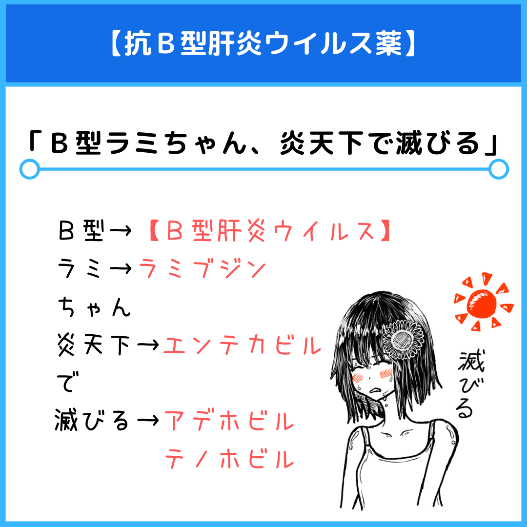 抗b型肝炎ウイルス薬のゴロ 覚え方 薬学ゴロ 薬学部はゴロでイチコロ