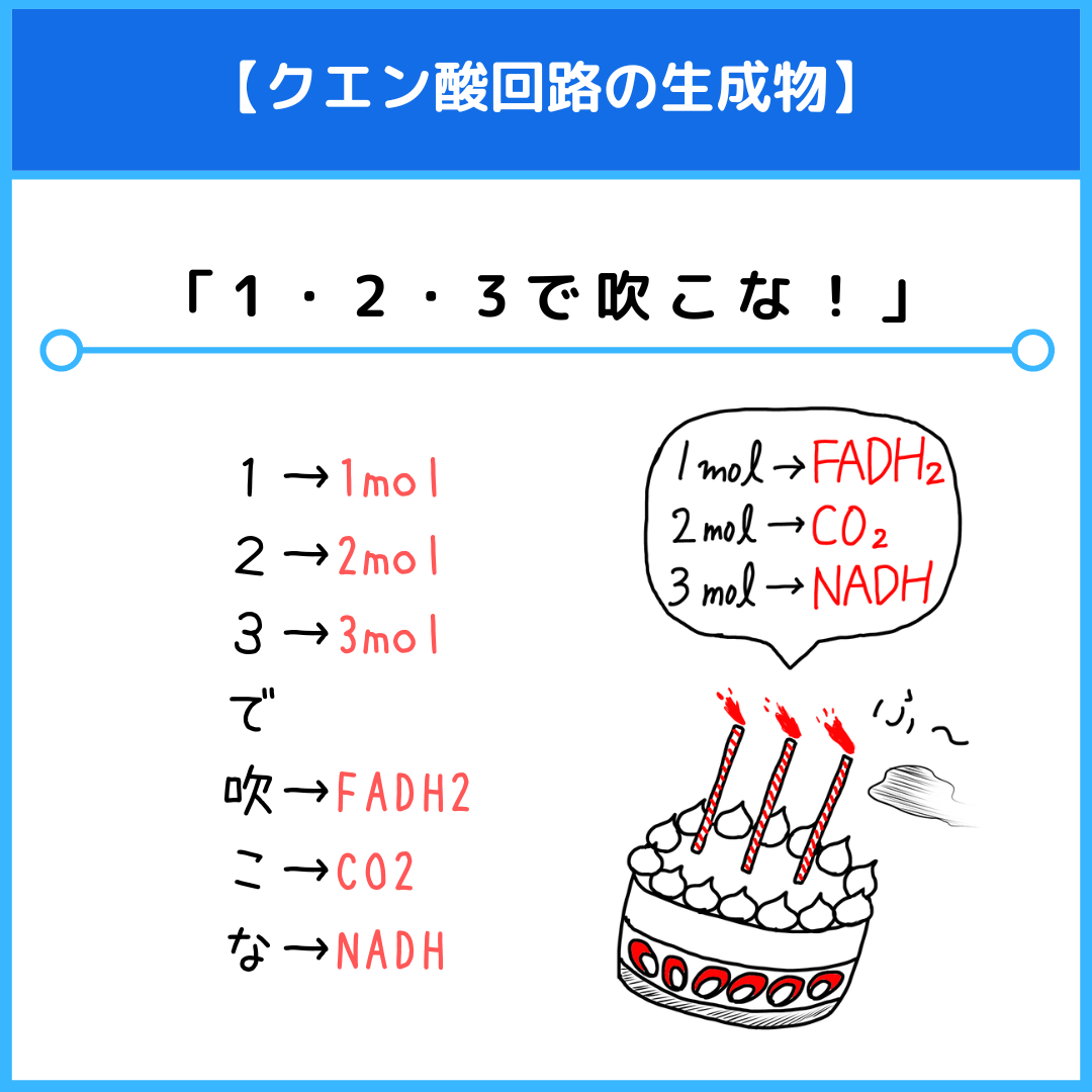 えななんの酸素 Amazon | TENGAヘルスケア ラニークサプリメントプラス 150粒×2