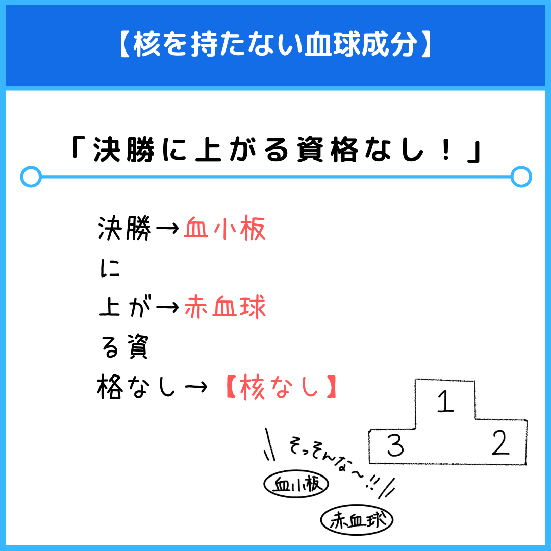 核を持たない血球成分のゴロ（覚え方）｜薬学ゴロ - 薬学部はゴロでイチコロ！