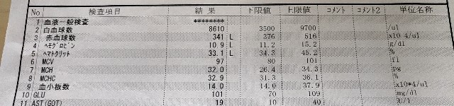 f:id:yakumioishii:20210616163929j:image f:id:yakumioishii:20210616163929j:image