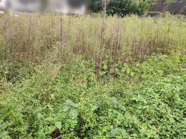 f:id:yakumo307:20191101223311j:image f:id:yakumo307:20191101223311j:image
