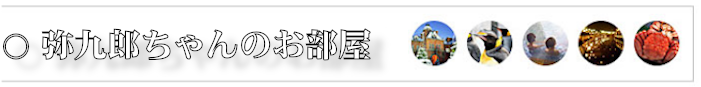 f:id:yakuroutan:20210118015423p:plain