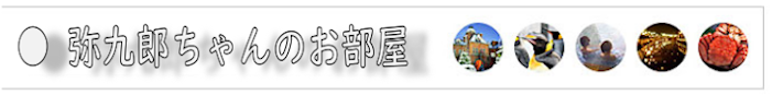 f:id:yakuroutan:20210810174807p:plain