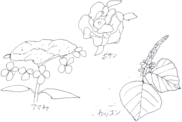 生薬 薬の成分を含む身近な植物 やくー 薬学生 のブログ