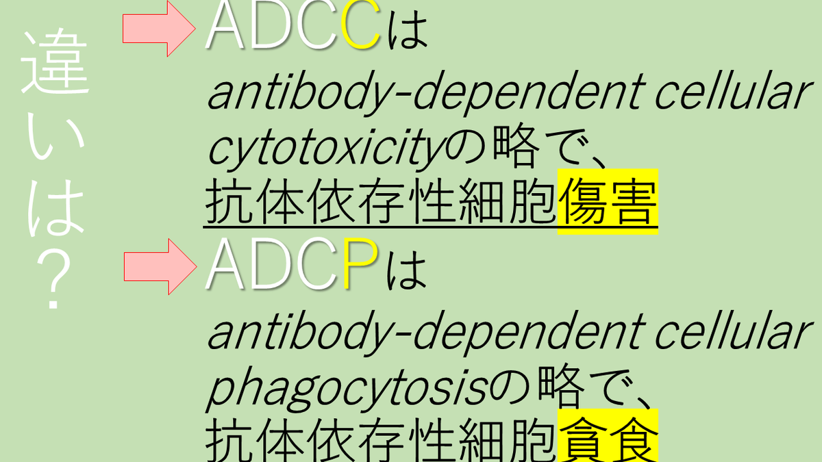 [B!] ADCC ADCPの意味・違いは？ - やくー