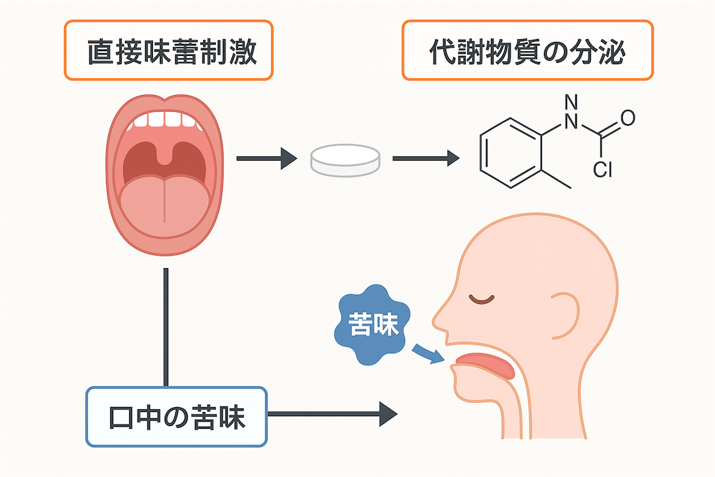 f:id:yakuzaishi--f-f:20250602203814p:image