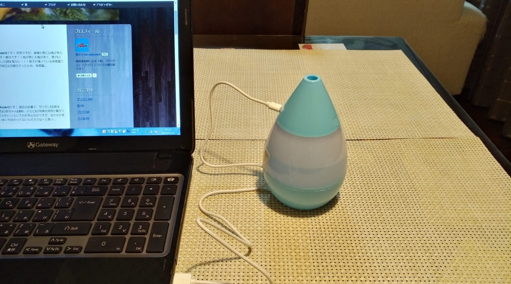 f:id:yakuzari:20190212115810j:plain f:id:yakuzari:20190212115810j:plain