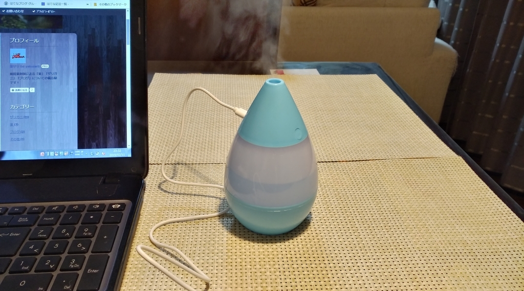 f:id:yakuzari:20190212115912j:plain f:id:yakuzari:20190212115912j:plain