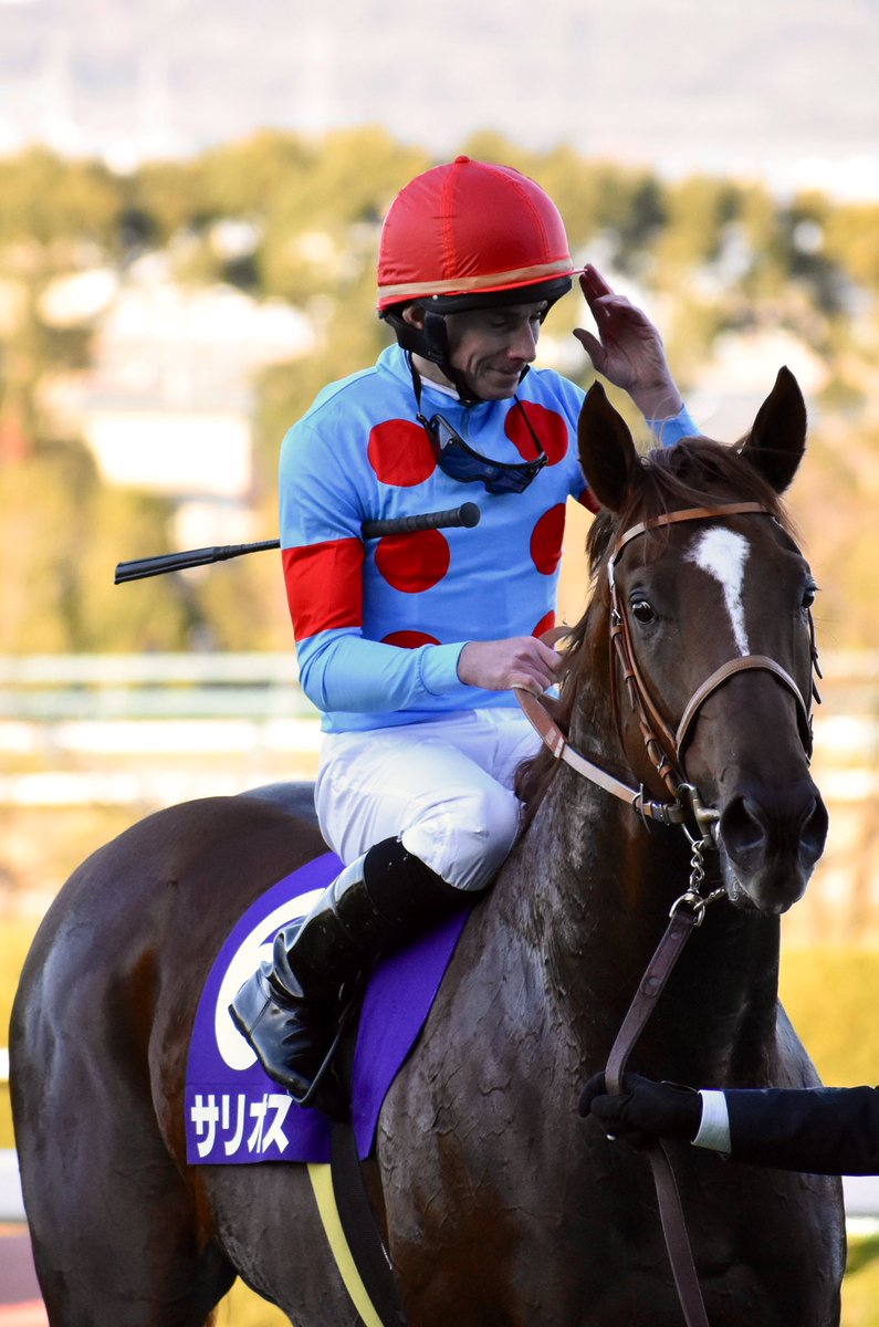 クールモアスタッド 競馬