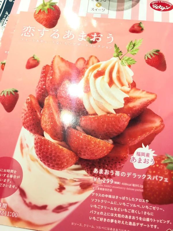 f:id:yam_kimama:20190305160013j:plain f:id:yam_kimama:20190305160013j:plain