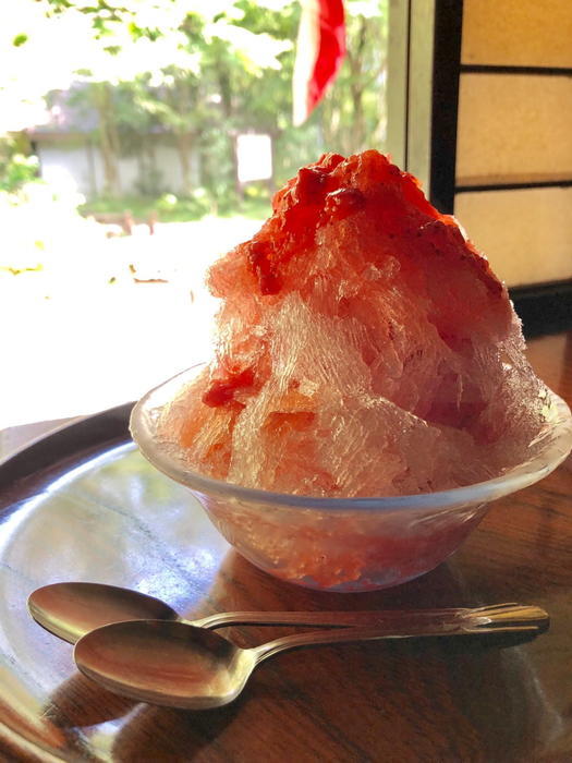 f:id:yam_kimama:20190913133429j:plain f:id:yam_kimama:20190913133429j:plain