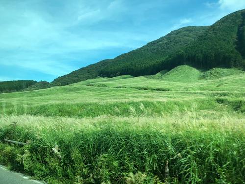 f:id:yam_kimama:20190921100741j:plain