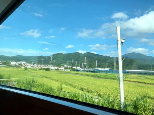 f:id:yam_kimama:20191005200631j:plain