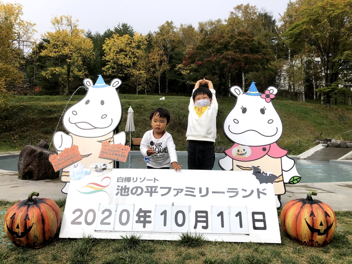 f:id:yama-papa:20201017165500j:plain f:id:yama-papa:20201017165500j:plain